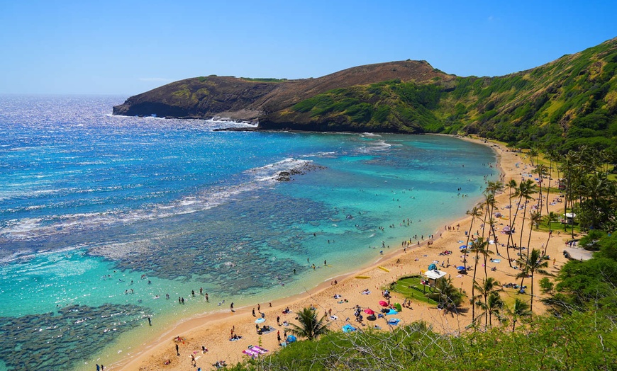 Image 7: ✈ KENYA | Mombasa - Réserves naturelles et plage au Kenya 3*, 10 no...