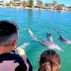 Image 1: Perth Day Tour: Dolphin Cruise, Wildlife Park, and Swan Valley