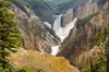 Yellowstone Private Tour Up To 14 - A Surprise Activity Included