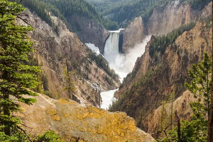 Yellowstone Private Tour Up To 14 - A Surprise Activity Included - Primary Image