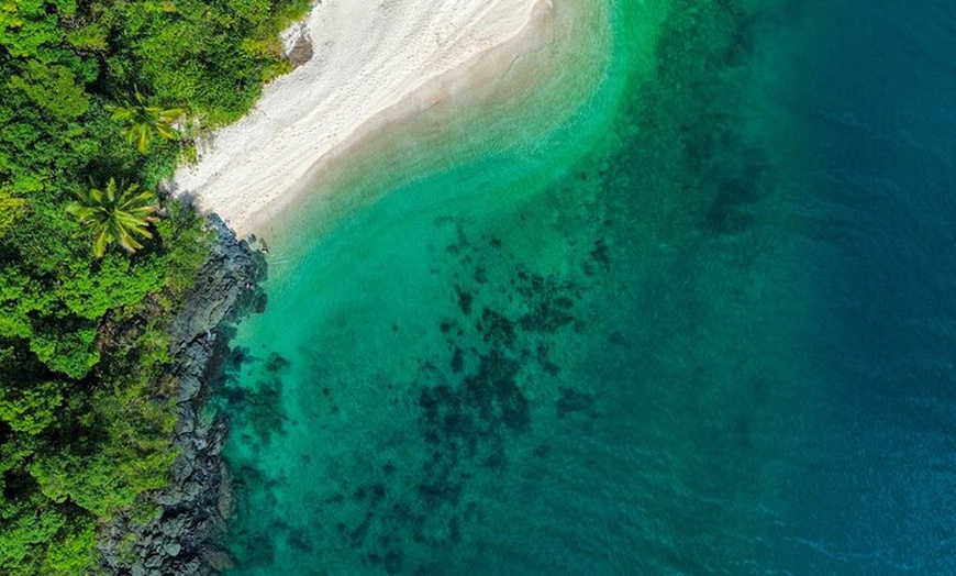 Image 9: Private Guided Tour in Port Douglas and Surrounds