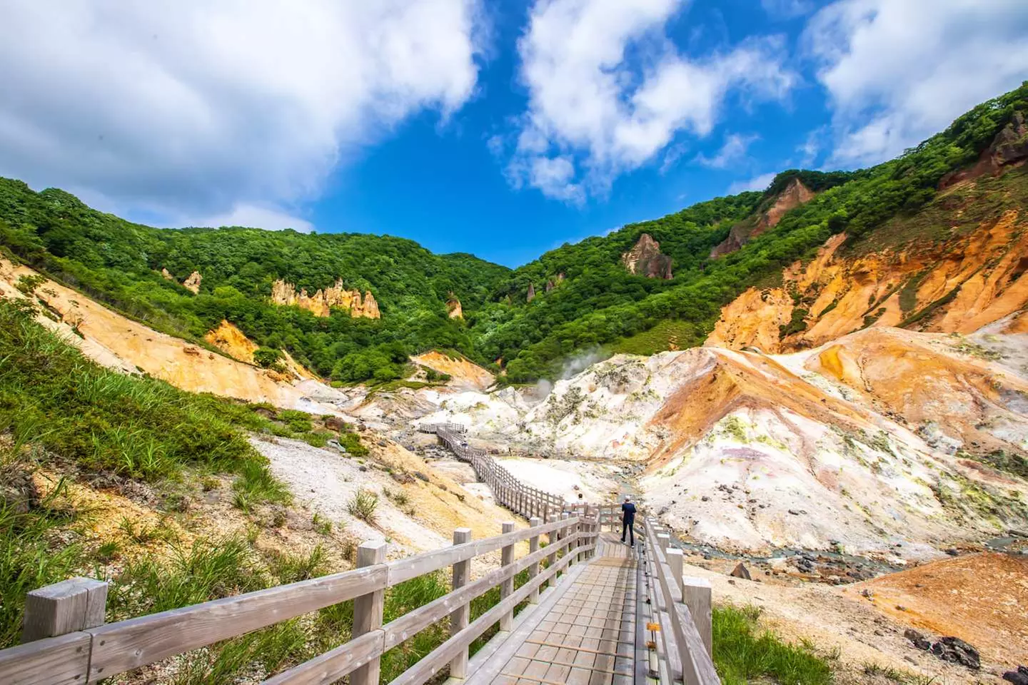 ✈ GIAPPONE | Da Sapporo a Tokyo - Alla scoperta di Hokkaido 3*, 13 ...