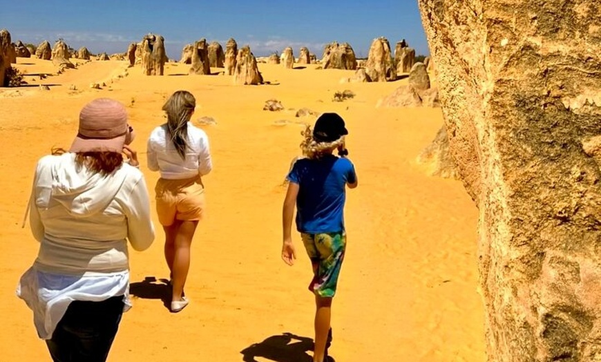 Image 3: Turquoise Coast and Pinnacles Desert, Lunch Included.