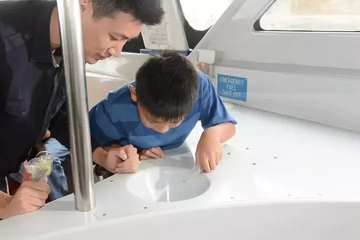 Sea View Glass Bottom Boat Excursion