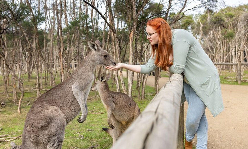 Image 8: Explore Mornington Wildlife Wine and Hot Springs
