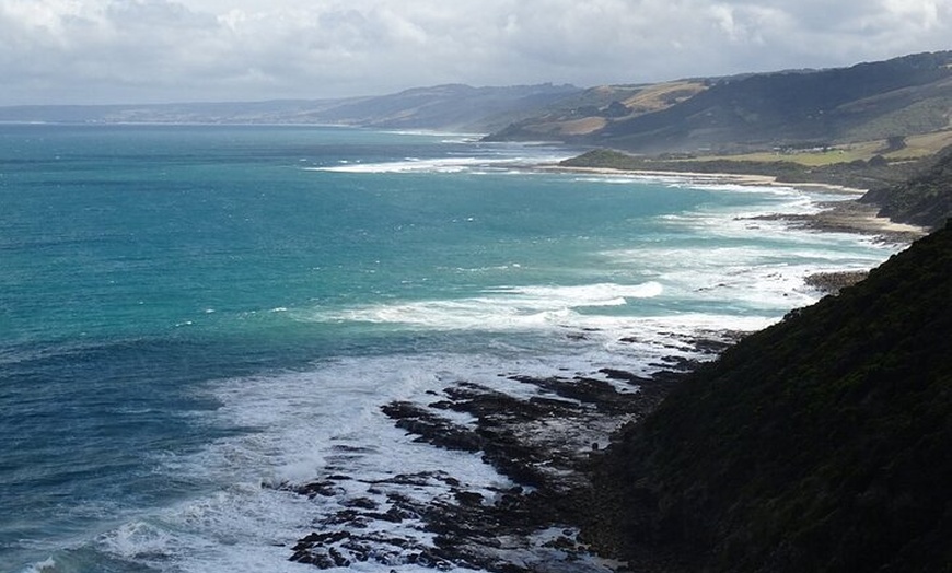 Image 14: Great Ocean Road Tour Plus Koalas, Forest Walk And Morning Tea.