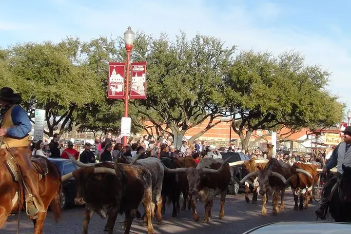 Dallas and Fort Worth City Sightseeing Tour Small-Group