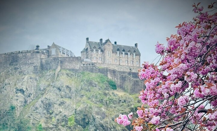 Image 18: Private Day Tour of Edinburgh Gin and Tasting Experience