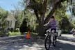Charleston Harbor & Wildlife E‑Bike Tour– A Scenic Coastal Escape - Second Medium