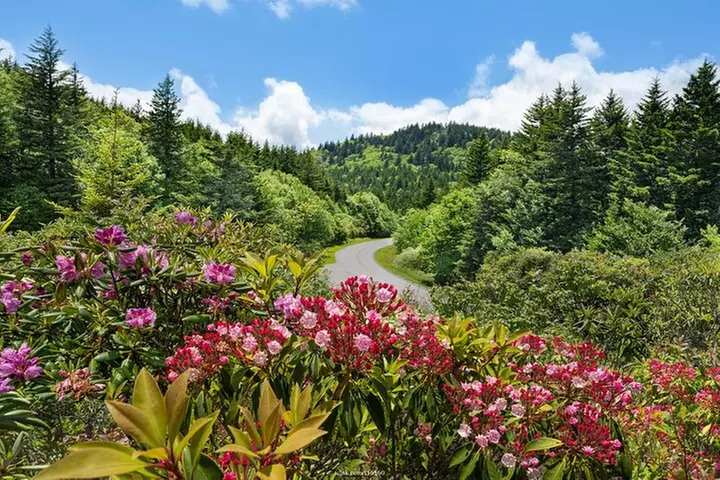 Explore The Blue Ridge Mountains: Private Day Trip from Asheville - Second Medium