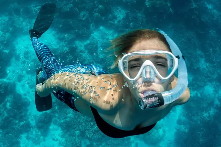 Snorkeling Adventure in La Jolla