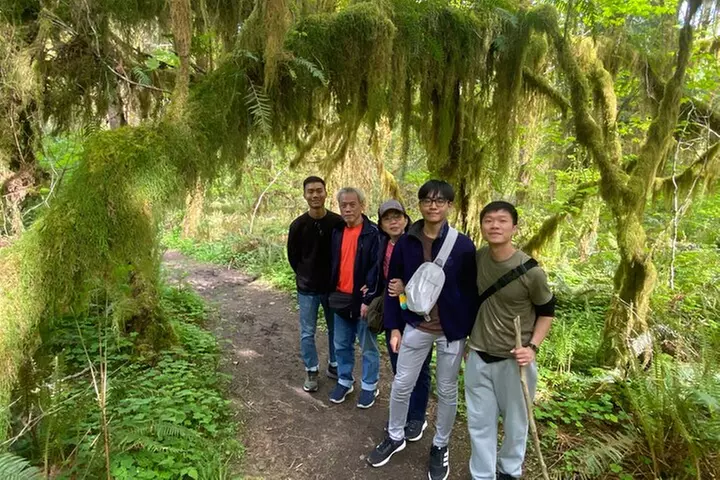 Seattle: Rainforest, Beach, and Olympic National Park Highlights