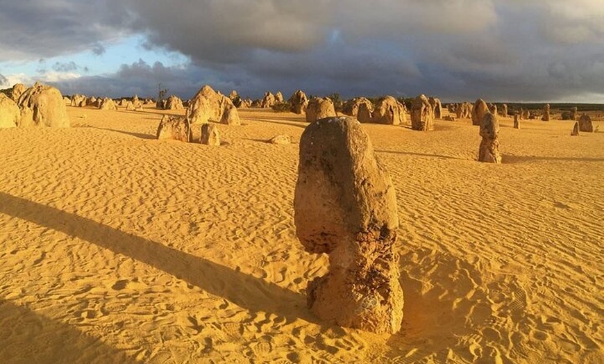 Image 2: Pinnacles Day Tour