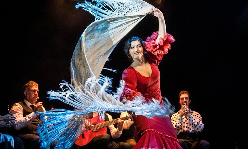 Image 11: Show Flamenco Auténtico en el Teatro Flamenco Granada