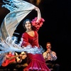 Image 11: Show Flamenco Auténtico en el Teatro Flamenco Granada