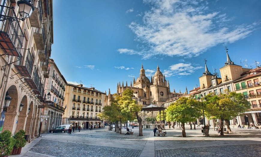 Image 4: Excursión privada de un día a Segovia y La Mancha Molinos de viento