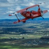 Image 3: Sydney Harbour Joy Flight in the Pitts Special