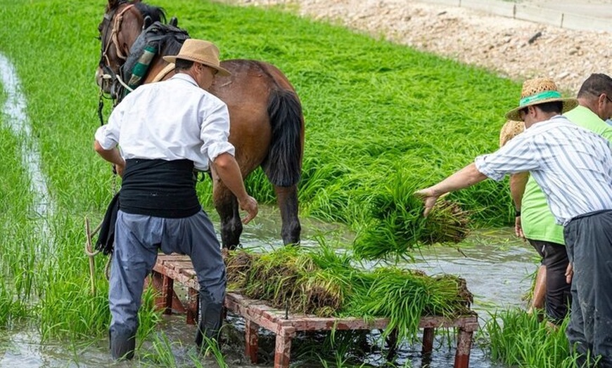 Image 10: Inmersión Holística en la Reserva de la Biosfera de les Terres de l...