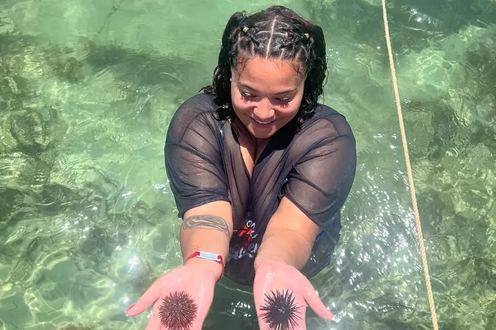 Cruisin Tikis Shell Island Big Kahuna Beach and Snorkel Cruise