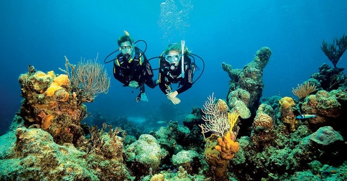 Actividad de buceo de Tossasub Diving Center en Girona