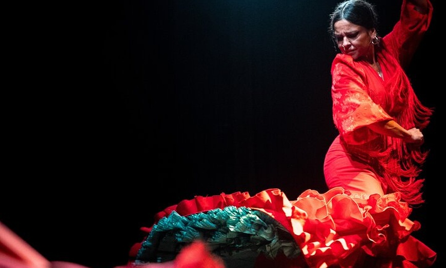 Image 4: Entrada al espectáculo flamenco en el Teatro Ayuntamiento de Barcelona
