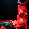 Image 4: Entrada al espectáculo flamenco en el Teatro Ayuntamiento de Barcelona
