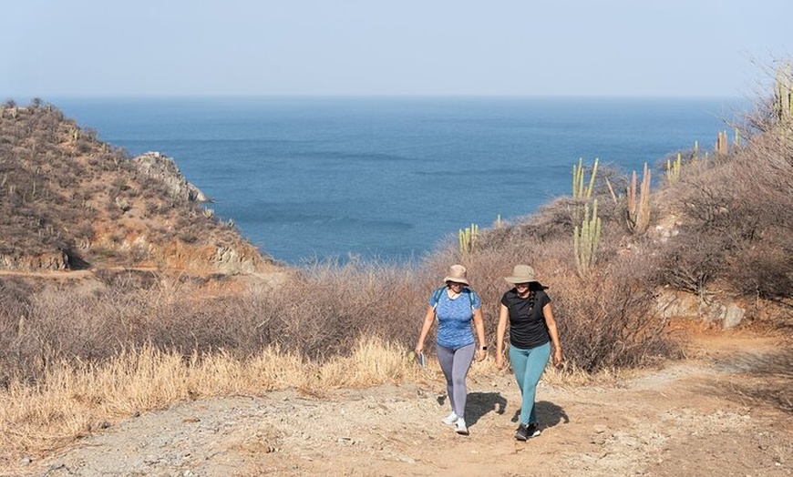 Image 7: Tour Privado Lanzarote Norte : Cuevas, Miradores & Pueblos