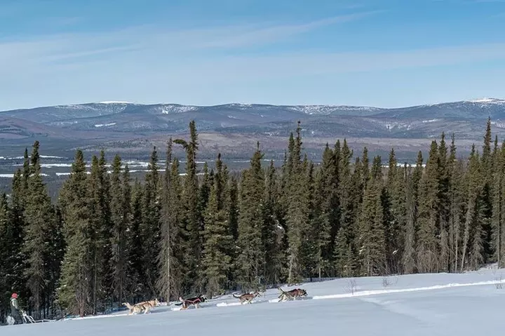 Sledding and Homesteading Adventure