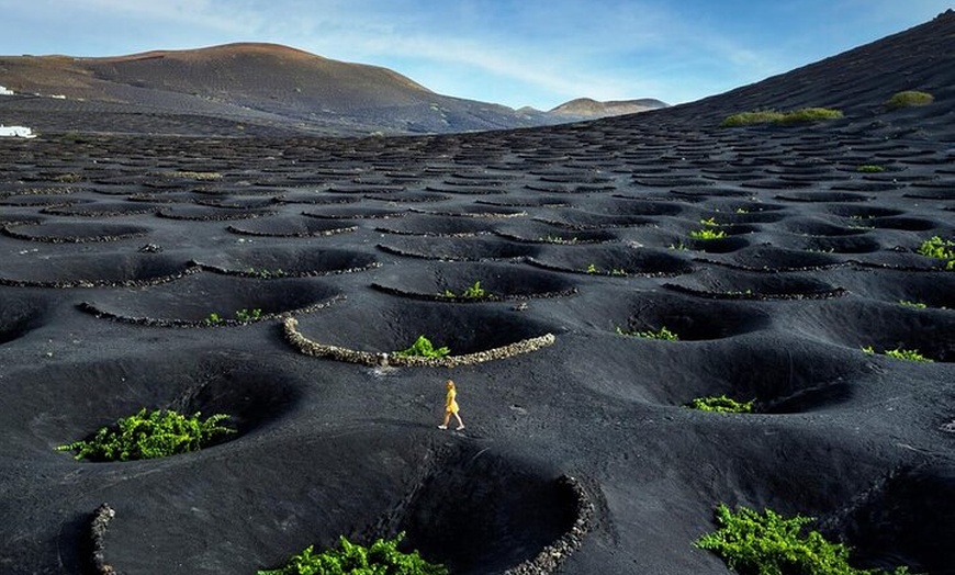 Image 3: Sabor Tradición 4 Bodegas y Tapas Bar