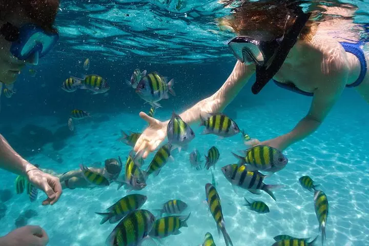 Fort Lauderdale to Key West Tour with Optional Add-ons