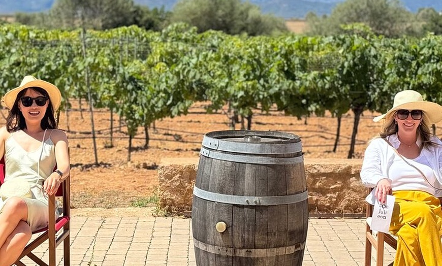 Image 7: AVENIDA WINE EXPERIENCE - Tesoros del vino local