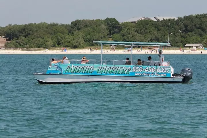 Daily Dolphin Cruise + Sightseeing Tour on Pensacola Beach