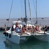 Image 5: Alquiler de Catamarán Privado de 12 Plazas en Benalmádena