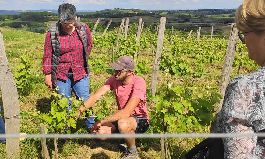 Image 3: Fronton Escapade Viticole en Petit Groupe Départ Toulouse