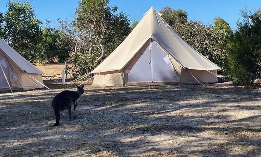 Image 2: Adelaide: Kangaroo Island 2-Day Epic Adventure Small Group tour