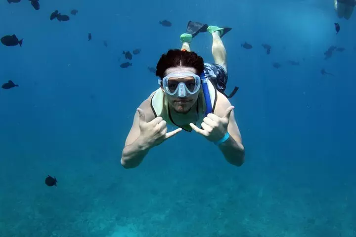 Oahu: Private Sunset Cruise and Dolphin Watch with Hot Buffett