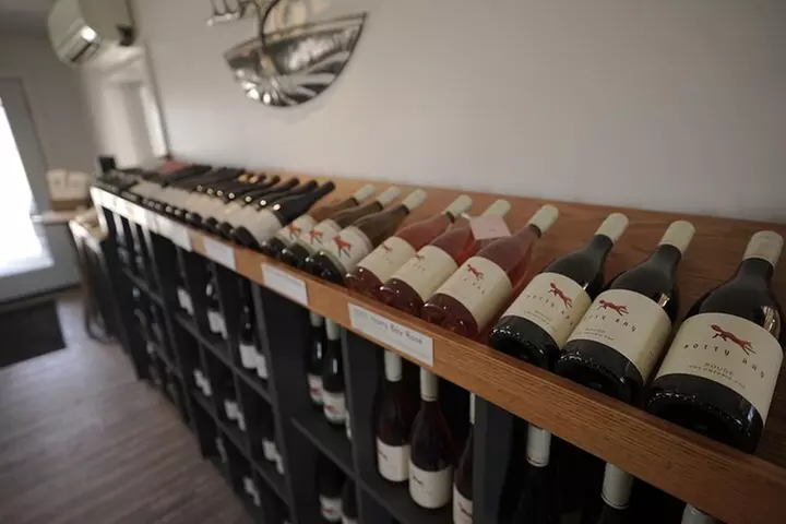 Blue Mountain Day Trip: Wine tasting, Horseback & Outdoor Fun!