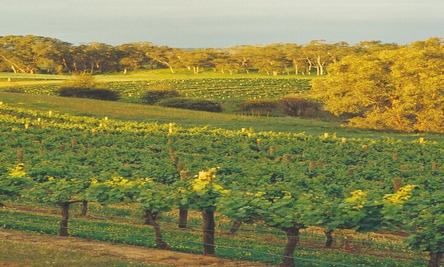Image 8: Pinnacles Desert, Yanchep and Swan Valley with Lunch