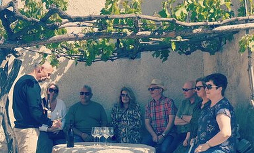 Image 7: Excursión en grupo pequeño a 2 bodegas con recogida gratuita en el ...