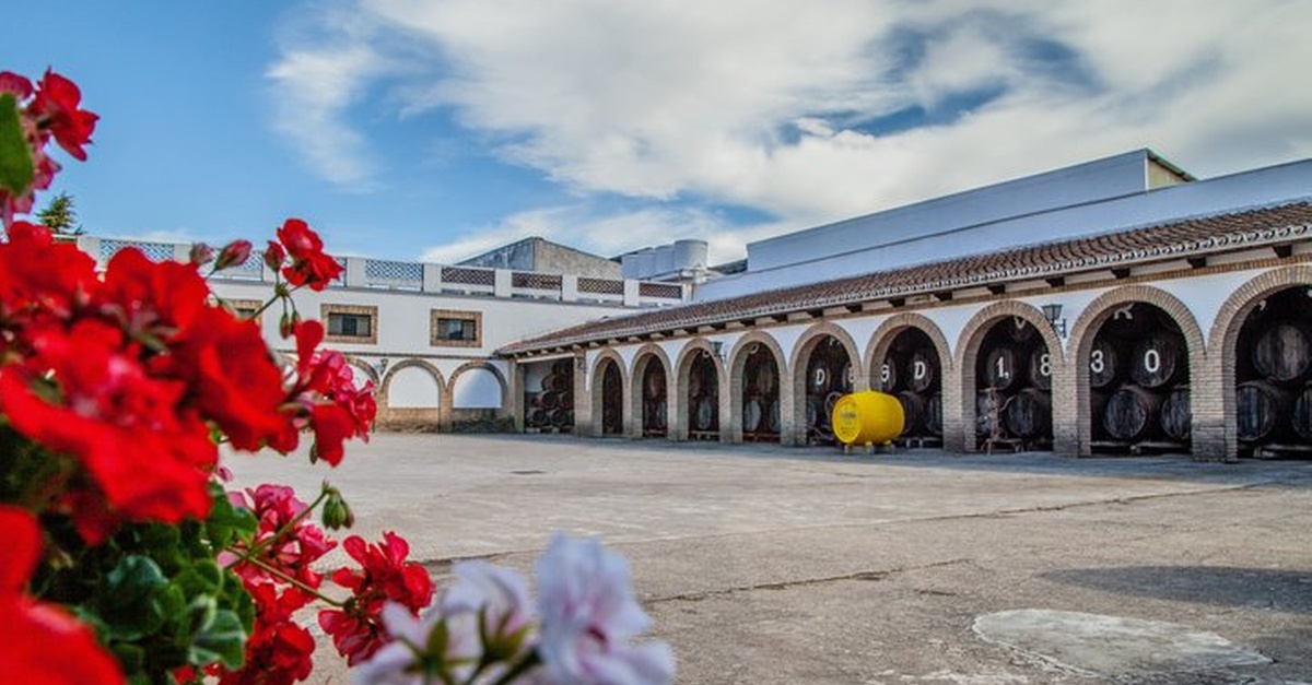 Experiencia enológica de Bodegas Navarro en Montilla, Córdoba