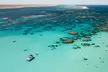 3 Night Ningaloo Reef Snorkel and Dive Getaway from Coral Bay - Image 2