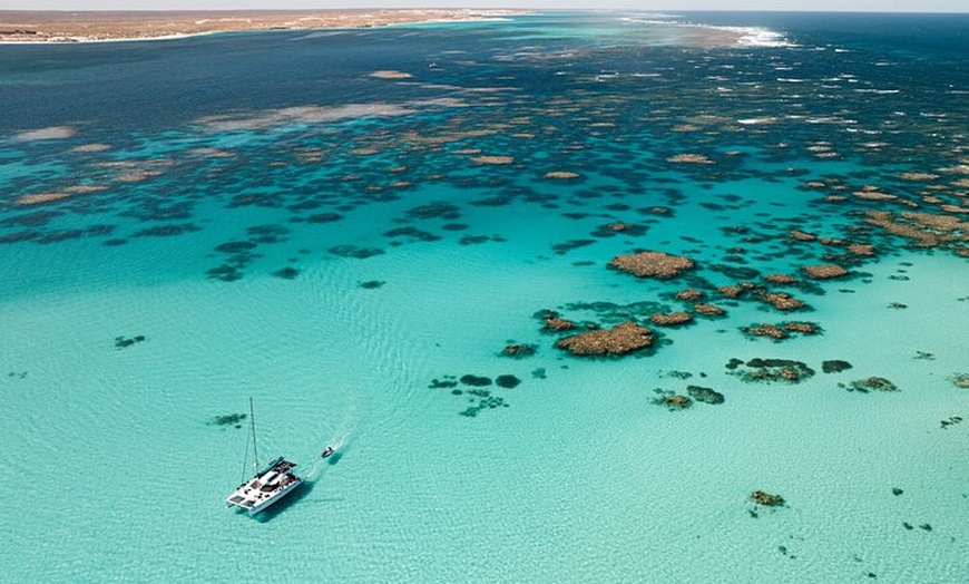 Image 2: 3 Night Ningaloo Reef Snorkel and Dive Getaway from Coral Bay