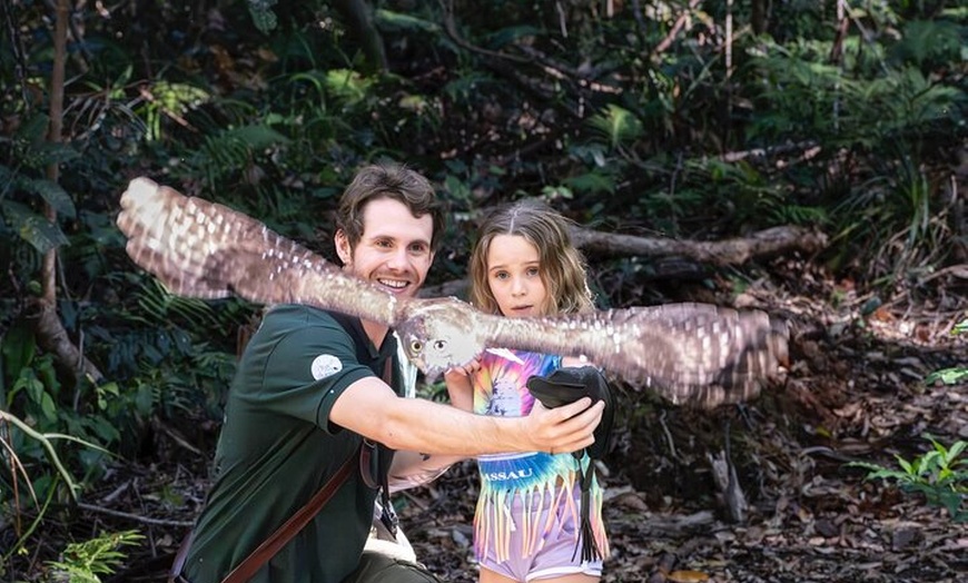 Image 4: Buderim Forest Flight Owl Encounter and Tour