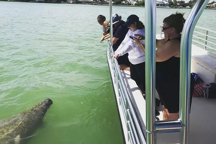 Marco Island Wildlife Sightseeing and Shelling Tour