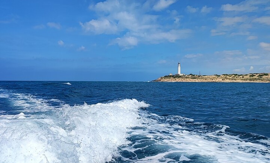 Image 11: Tour Privado en Barco por Trafalgar,Cádiz con Aperitivo y Snorkel