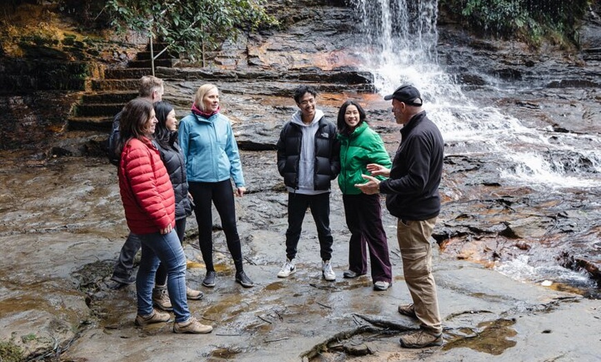Image 17: Small Group Blue Mountains Wildlife and Bushwalk Tour From Sydney