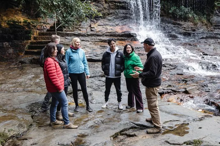 Exclusive Blue Mountains Wildlife and Bushwalk Tour From Sydney