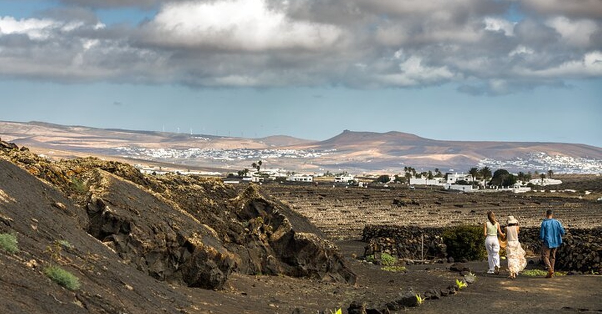 Cartel de El Grifo Museo del Vino: visita a bodegas en Lanzarote