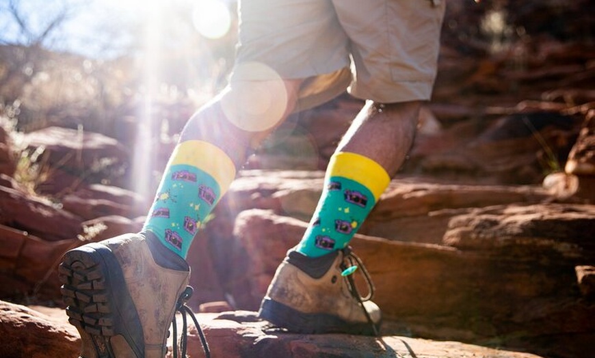 Image 18: 3-Day Kings Canyon & West MacDonnell Ranges 4WD Camping Tour