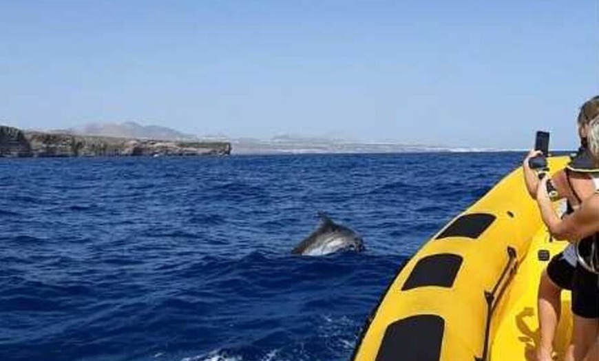 Image 5: Avistamiento de Delfines y Baño en Playa de Papagayo Lanzarote